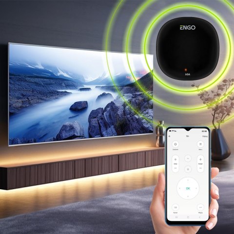 ENGO Controls EIRTX - Uniwersalny pilot ENGO CONTROLS