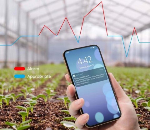 Govee H5075 Termometr i higrometr Bluetooth, wyświetlacz GOVEE