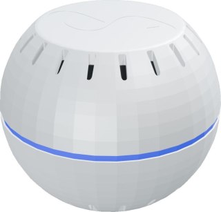 Shelly Wave H&T (2025) SHELLY