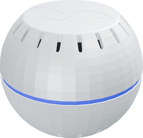 Shelly Wave H&T (2025) SHELLY