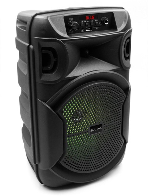Głośnik mobilny SQUEAK SQ1006 30W Radio FM Czarny SQUEAK