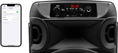 Głośnik mobilny SQUEAK SQ1006 30W Radio FM Czarny SQUEAK