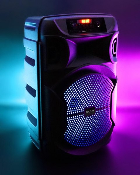 Głośnik mobilny SQUEAK SQ1006 30W Radio FM Czarny SQUEAK