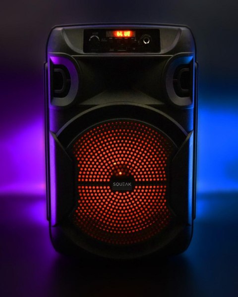 Głośnik mobilny SQUEAK SQ1006 30W Radio FM Czarny SQUEAK