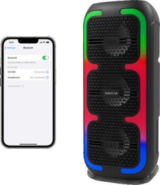 Power Audio SQUEAK BeatOne 30W SQ1009 Radio FM Czarny SQUEAK