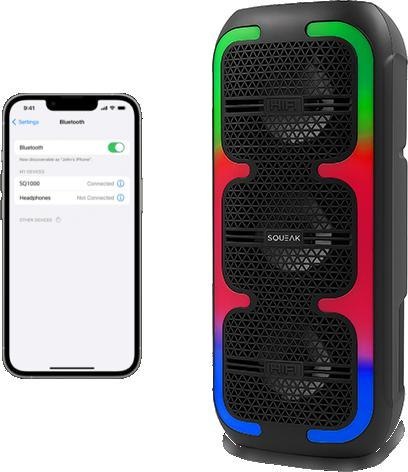 Power Audio SQUEAK BeatOne 30W SQ1009 Radio FM Czarny SQUEAK