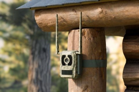 Fotopułapka Reolink Camovue 8MP LTE Talon Series T130 REOLINK