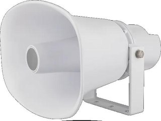 Głośnik IP Ganz 30WDT8M30DL GANZ