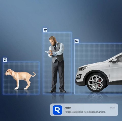 Kamera IP Reolink P330 8Mpix POE P2P IR 30m czarna REOLINK