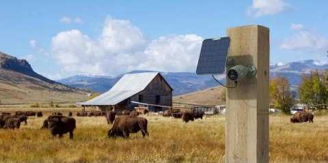 Kamera IP Reolink GO Series G330 4MP 4G LTE USB-C z akumulatorem camouflage REOLINK