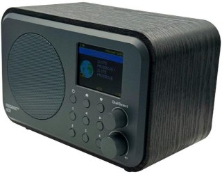 Radio internetowe Ferguson Regent i101 | DAB+ | FM RDS / Akumulator 2000 mAh (Czarne) FERGUSON