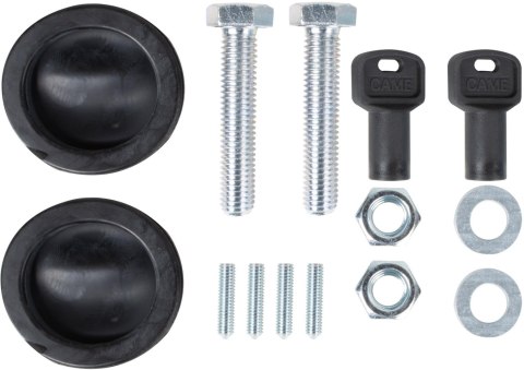 Zestaw CAME BXV 6 PLUS TOP do bram przesuwnych (8K01MS-042) CAME