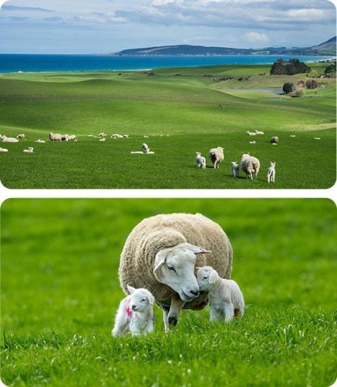 Kamera IP Ezviz HB90X Dual 4G Wi-Fi Kit 4MP+4MP z panelem solarnym 8W EZVIZ