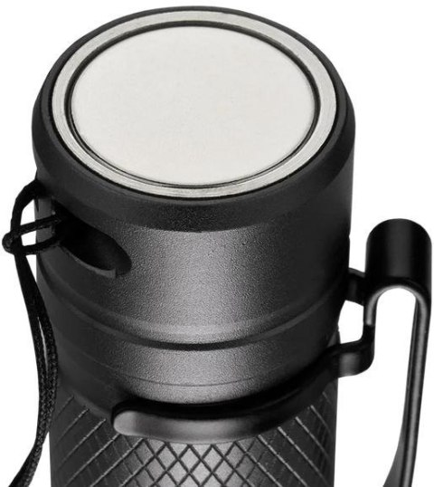 Latarka ręczna 20W LED everActive FL-2000R Buddy 2000 lumenów IPX4 EVERACTIVE