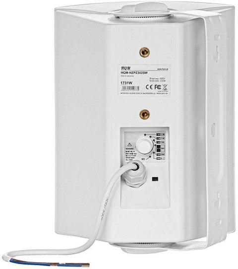 Głośnik naścienny HQM-NZPZ3025W 30W HQM