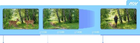 Kamera IP Ezviz EB8 PRO 4G Ranger Kit 8MP z panelem słonecznym 8W 4G Wi-Fi moro EZVIZ