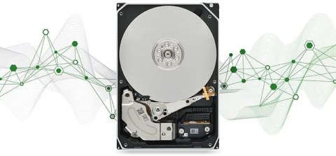 Dysk HDD Toshiba S300 AI 24TB MG11ACA24TE-V TOSHIBA