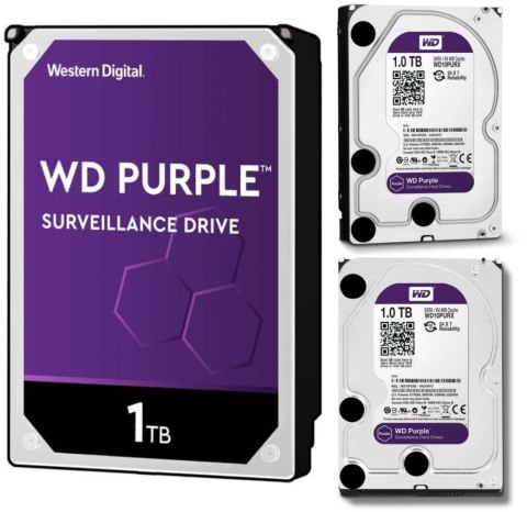 DYSK WD PURPLE 1TB WD10PURZ WESTERN DIGITAL