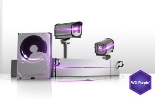 DYSK WD PURPLE 1TB WD10PURZ WESTERN DIGITAL