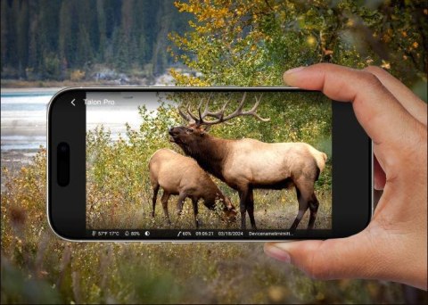 Fotopułapka Reolink Camovue 8MP LTE Talon Series T130 REOLINK
