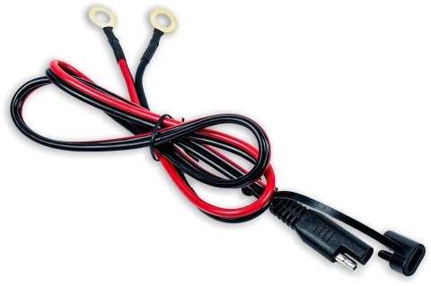Prostownik Volt Polska do akumulatorów LiFePO4 12V 20A VOLT POLSKA