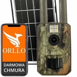 Fotopułapka - Kamera leśna - Orllo Huntercam 5 GSM ORLLO