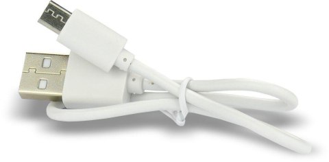 Akumulatorek 16340 / R-CR123 3V everActive 700mAh (1 szt.) z zabezpieczeniem EVERACTIVE