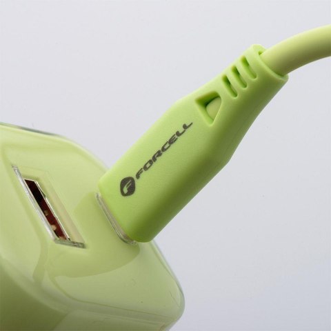 ŁADOWARKA SIECIOWA Forcell F-Energy GaN III VT-41 33 W 1x USB-C 1x USB-A PD 3.0 QC 4.0 ZIELONA FORCELL
