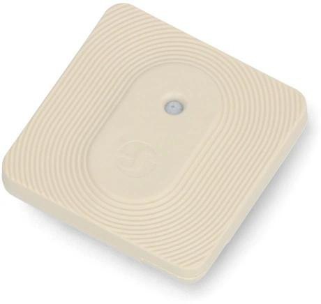 Shelly Blu H&T Ivory ZB SHELLY