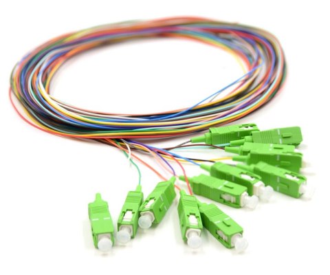 12X PIGTAIL SC/APC SM G657A2 GOLD zestaw 12x 2m OEM