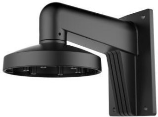 Hikvision DS-1473ZJ-155(Black) HIKVISION