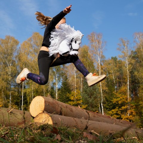 Biały konik hobby horse duży A3 kantar wodze HH